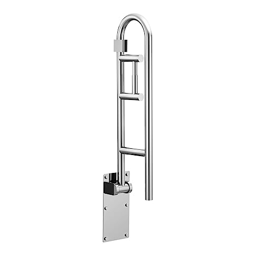 Moen R8962Fd Bathroom Safety 30-Inch Flip-Up Bathroom Grab Bar With White Toilet Paper Holder, Stainless #TOP2