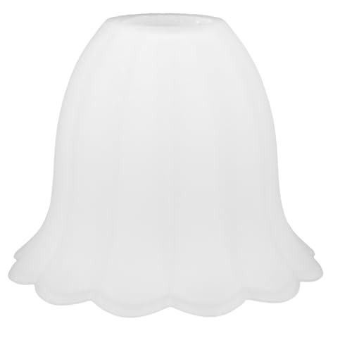 Abat-jour en verre dépoli de qualité supérieure, finition fleur pour applique