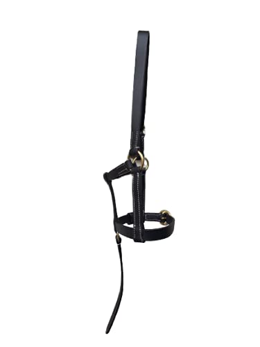 Cwell Equine COLLAR DE CABEZA CUERO FOAL NEGRO