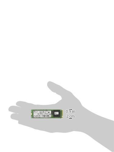 Amazon | PLEXTOR M9PeGNシリーズ NVMe接続 M.2 2280内蔵型 SSD 1TB
