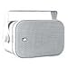 PolyPlanar - PolyPlanar Compact Box Speaker - (Pair) White