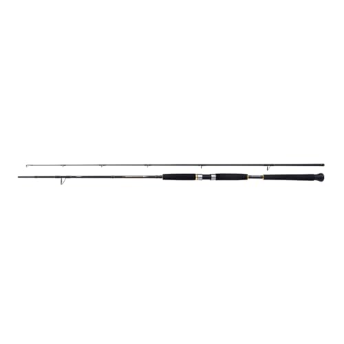  SHIMANO Canna Beastmaster AX Pilk 2,40m 150-300g 2pc