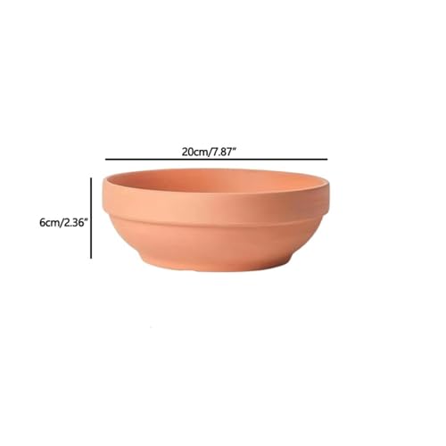 Eviter l'excès d'eau avec le pot succulent plat terre cuite Yofab