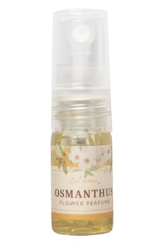 y{̋؍҂̍ǋz LNZC 2ml t̎ Ԃ̍ Xv[ tOX A} { Mtg H Lbg}~[ ...