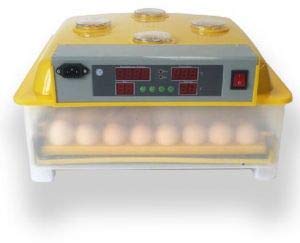 TM&W New 48 Eggs Poultry Equipment Chicken Automatic Incubator (WQ-48)