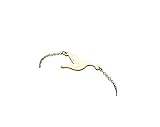  Armreifen Vogel Kolibri Muster Armband Armkette golden Juvelato