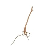 Bois sombre arrosé L 7475 Racine d\'araignée rouge en bois pour aquarium Décoration de paysage en bois naturel