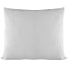 Vivezen - Oreiller, Coussin de garnissage - 60 x 60 cm - Blanc