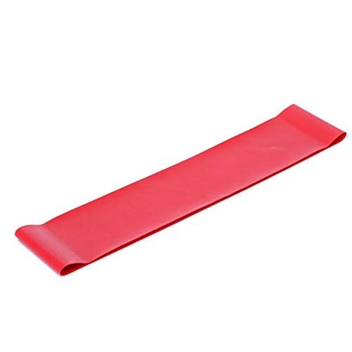 Spanco Resistance Loop Exercise Bands for Squats, Hips, Legs, Butt, Glutes and Heavy Workouts Physical Therapy, Rehab, Stretching, Home Fitness (B0914LPJZT) Amazon Price History, Amazon Price Tracker