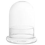 YARNOW Cúpula De Cristal Cloche Cloche Campana Tarro Vitrina Terrario Postre Cubierta Terrario Pantalla Cúpula Caja para Plantas Suculentas Luces De Hadas Fotos