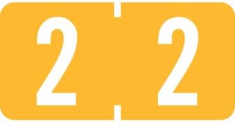 Physician Stuff – File Folder Labels, Quantity 2, Tab Merchandise 1277 Match – 1277 Collection Chart Stickers, Mild Orange, 1/2″ x 1″, 2, 500/Roll