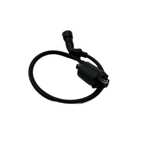 Bobina de encendido para rutas en ATV JS250, componente esencial de 250 cc 5