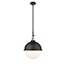 Innovations 206-BAB-HFS-121-BK One Light Pendant from Franklin Restoration Collection