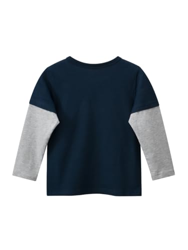 Toddler Boys Long Sleeve Shirts Dinosaur Shirts for Boys Toddler Boy Fall Raglan Cotton Sweatshirt Tee Shirt for 1-6 Years2