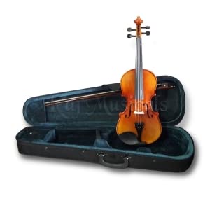 Havana MV1412F 4/4 Full Size Violin with Ebony Pegs : Amazon.in