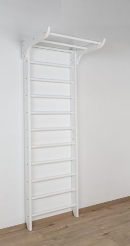 Pared de gimnasia con estructura de escalada de 3 a 240 colores de metal, equipo deportivo, pared de escalada, madera, pared de gimnasia