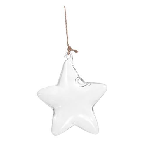 FONDOTIN Vase Suspendu Verre Forme Étoile De Mer Récipient à Fleurs pour Maison Jardin Jardinière Hydroponique