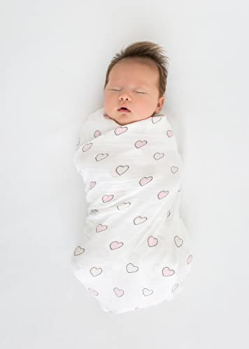 Image of SwaddleDesigns Marquisette Swaddling Blanket, Premium Cotton Muslin, Very Berry Cute and Calm