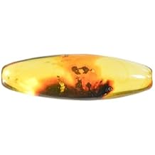 Baltic Amber fossil with a Fly Insect - Natural stone 4.6g