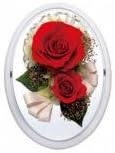 Millennium Art Oval Dome White/Red SD7211WR