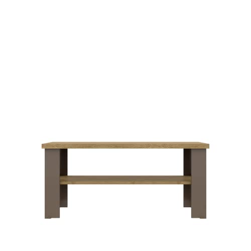 Modern Classic Rectangular Coffee Table For Living Room, Dining Room With Color Combination (Nature - Light Grey) #TOP4