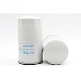 Fuel Filter - Compatible with Case - 4897897, P550881, P550880, FF5612, FF5421, BF7922, WK929,