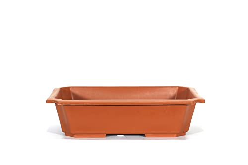 Vaso rettangolare per Piante e Bonsai in plastica marrone cm. 42
