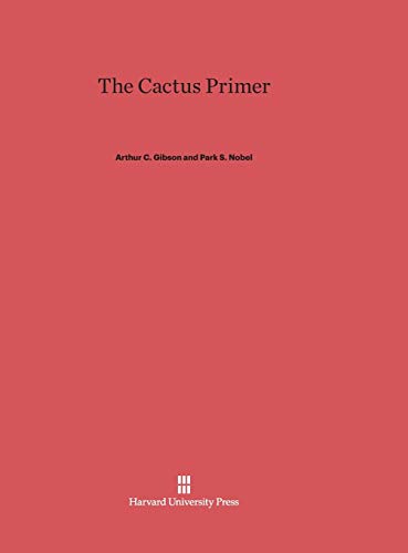 The Cactus Primer view 2
