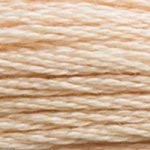 Image of DMC 117-945 6 Strand Embroidery Cotton Floss, Tawny, 8.7-Yard