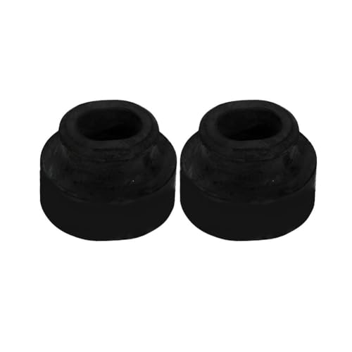 Gettimore Paquete de 2 bujes de cojín inferior aisladores de radiador Xw4Z8124Aa para Ford Mustang 2005-2015 y Lincoln Ls 2002-2006