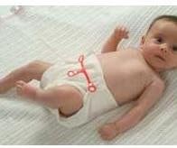 Nappi Nippa pack 3 washable nappy fastener