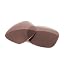 Amp Brown Polarized
