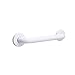 CSI Bathware BAR-SB36-TW-125-PW Stainless Steel 36-Inch Grab Bar, Straight Safety Bar, Concealed Flanges, White Powder-Coated Finish