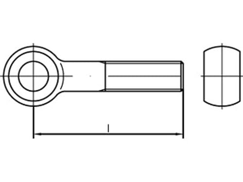 Preisvergleich Produktbild 1 Augenschrauben DIN 444 A2 BM 24 x 90 V2A Niro Edelstahl