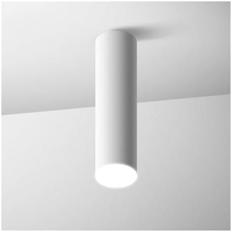 Modern 7W LED Cylindrical Spotlights - Ceiling-Mounted Hallway, Living Room & Bedroom Lighting, Stylish Fixtures for Retail & Clothing Stores (White)