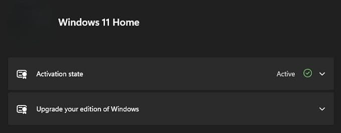 Image of TechCity Win 11 Home Edition Lifetime License Key | 1 User 1 PC | Motherboard Bound Activation | 32 /64 Bit Support | Official Updates | Quick Digital Delivery