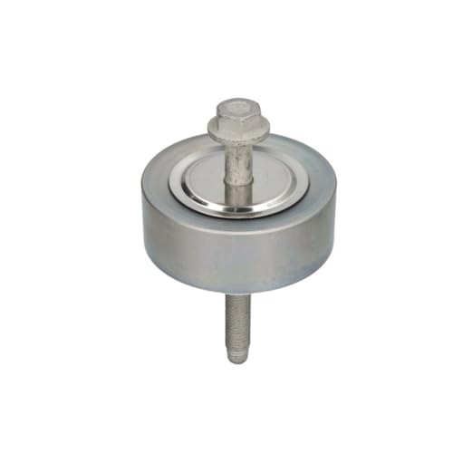 INA 532 0665 10 Galet enrouleur de courroie d'accessoire