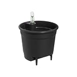 elho Self-watering Insert 15 - Accessory for Indoor Plant Pots - Ø 14.9 x H 13.68 cm - Black/Living Black