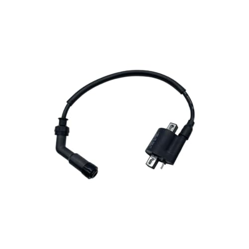 Bobine d'allumage YB300H et YB250R de pression pour moto