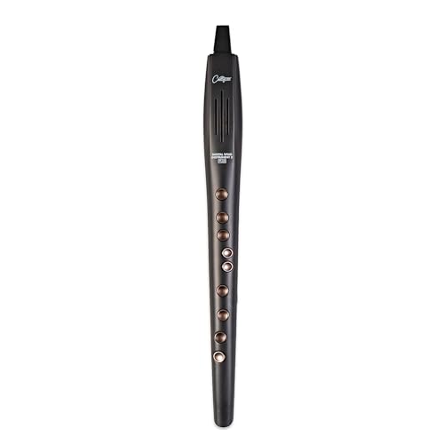 Carry-on Instrumento de viento digital 2 Plus - 20 voces, batería recargable USB integrada, salida de auriculares para práctica silenciosa, grabadora digital midi a través de Bluetooth, color negro