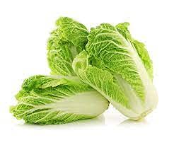 Audbhidhi Vegetable Seeds |Chinese Cabbage Vegetable Seeds For Home Garden (50 Seeds Pack) pack of 2 packet (B09GB9JW7W) Amazon Price History, Amazon Price Tracker