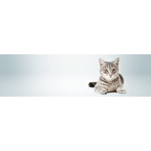 Kattovit Feline Diet Diabetes/Gewicht | 400 g | Trockenfutter für Katzen im Beutel | Zur Verringerung der Kalorienaufnahme | Hoher Proteingehalt zur Unterstützung der Muskeln