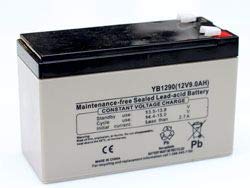 Technical Precision Replacement for DELTEC RS-21 UPS Battery