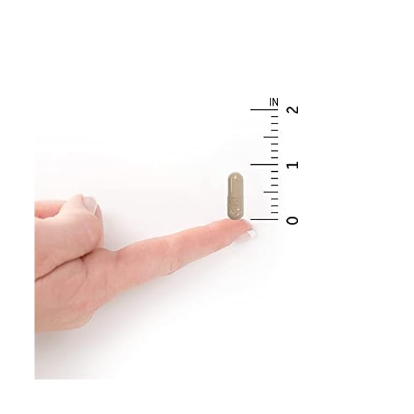 Garden-of-Life-Vitamin-Code-Raw-Iron-Supplement-22mg-Once-Daily-Iron-Vitamins-C-B12-Folate-Fruit-Veggies-Probiotics-Iron-Supplements-for-Women-Energy-Anemia-Support-30-Vegan-Capsules Vitamin Code Raw Iron 30ct Capsules