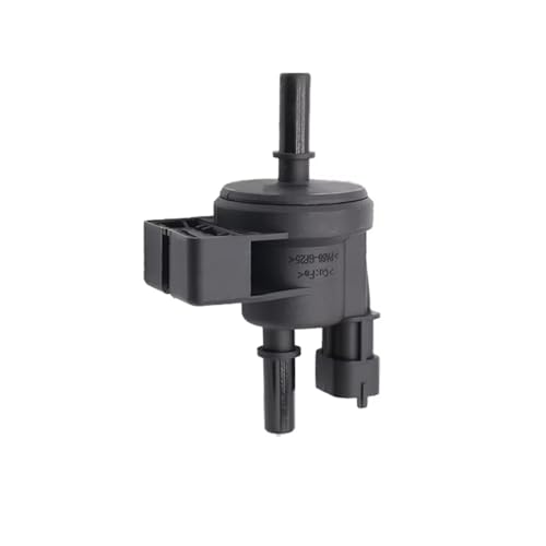 Électrovanne de purge du canister pour Buick Enclave Allure Rendezvous 12591334
