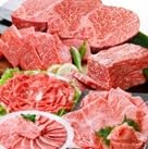 定期便(6回)鹿児島県産A5等級黒毛和牛シャトーブリアン・サーロインステーキetc