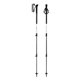 LEKI Skytera Carbon Lite