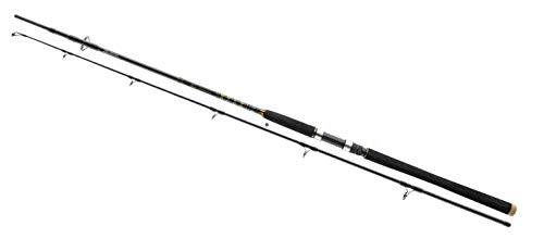 Daiwa BG Boat 2,40m 150-400g Bootsrute Meeresrute