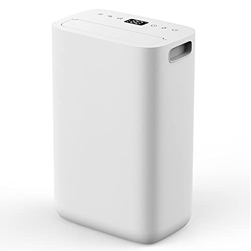 Deumidificatori domestici per scantinati Grandi stanze Grande capacità di rimozione Deumidificatori...
