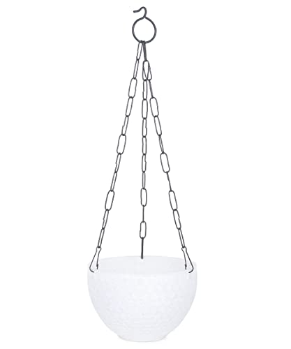 JOREN Hanging Flowers Pots with Metal Hanging Chain Hanging Planers for Balcony, Home, Garden Decor Indoor and Outdoor Planting Pots for Plants Multicolour Pack - 6,